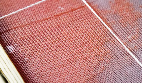 孵化水槽へ移動