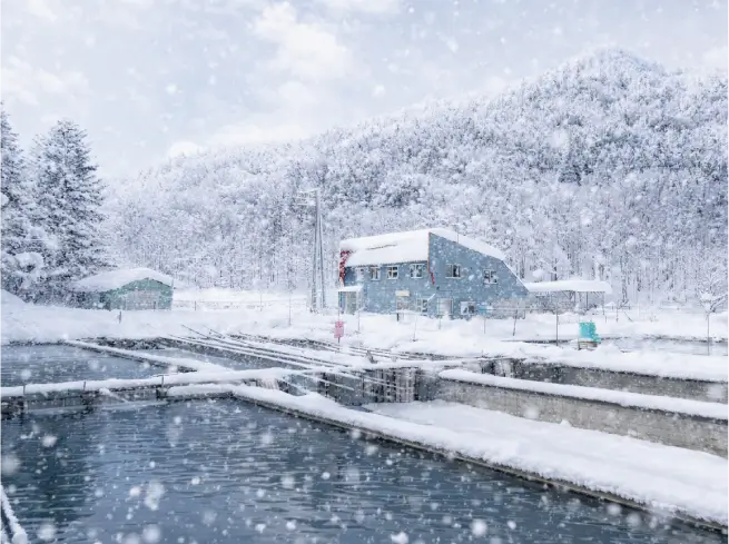 サーモン養殖の新しい道