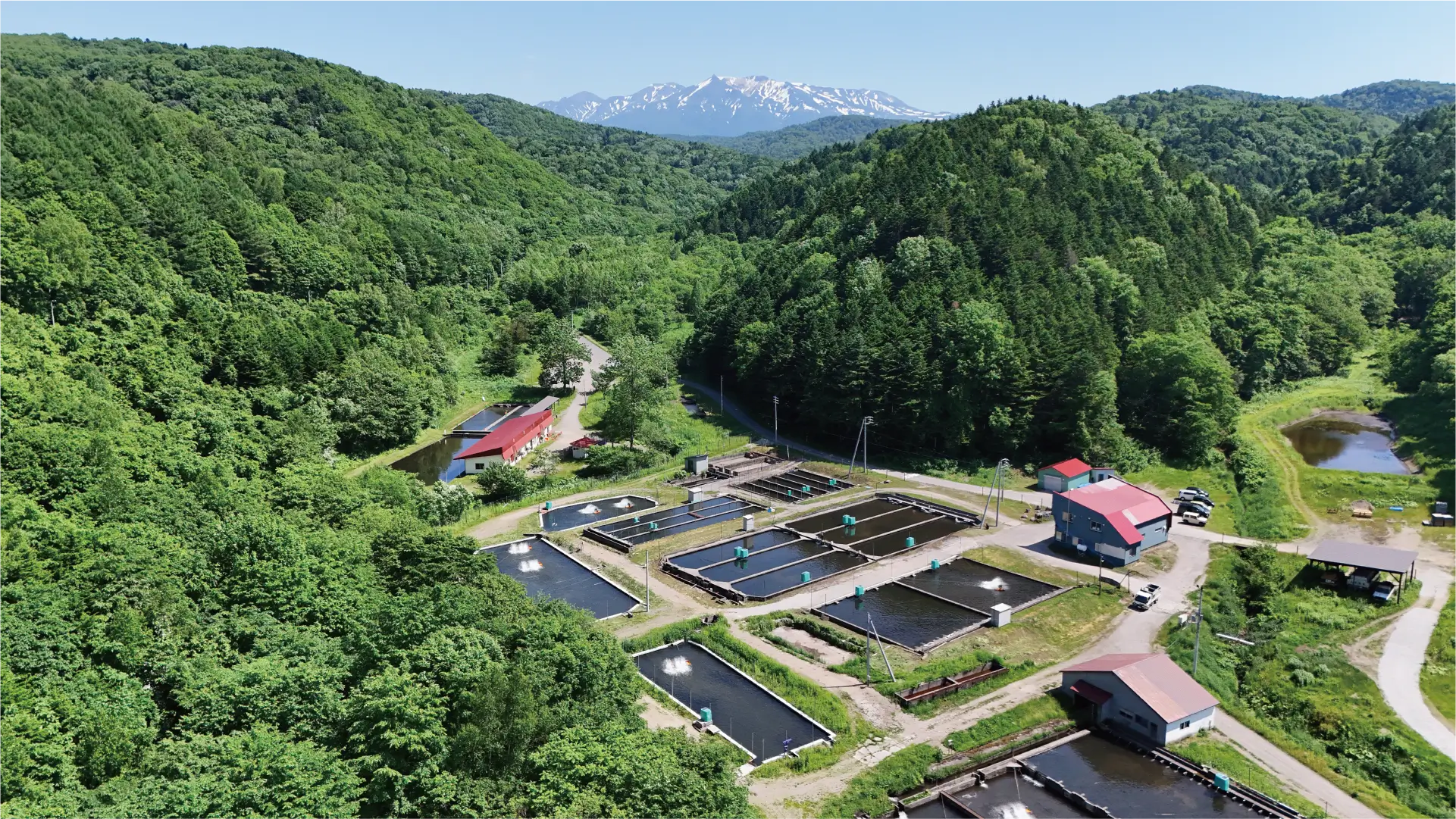 水こそ、うまさ。