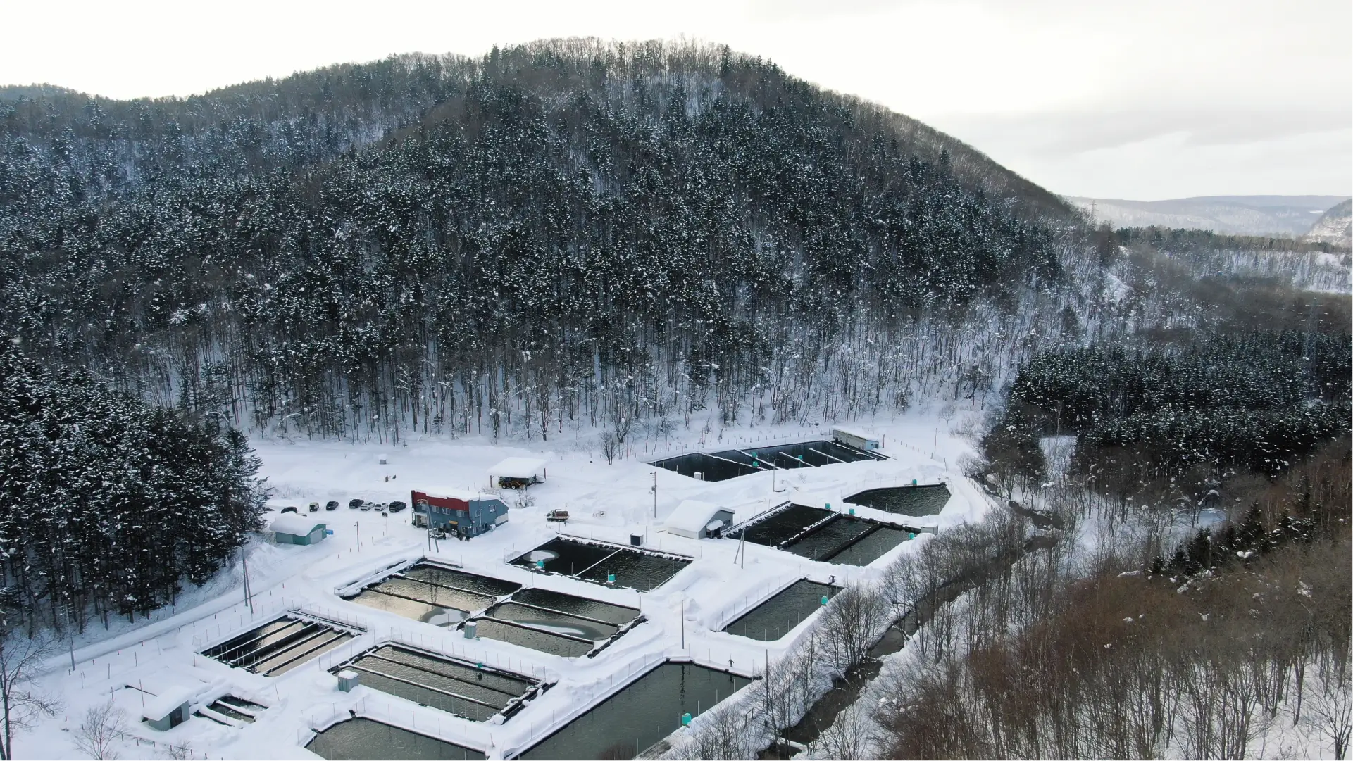水こそ、うまさ。
